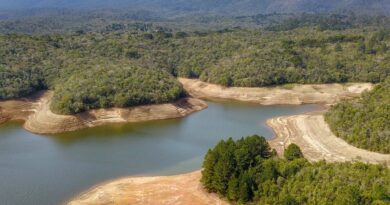 Chuvas não recuperam níveis de reservatórios de água na RMC Chuvas não recuperam níveis de reservatórios de água na RMC