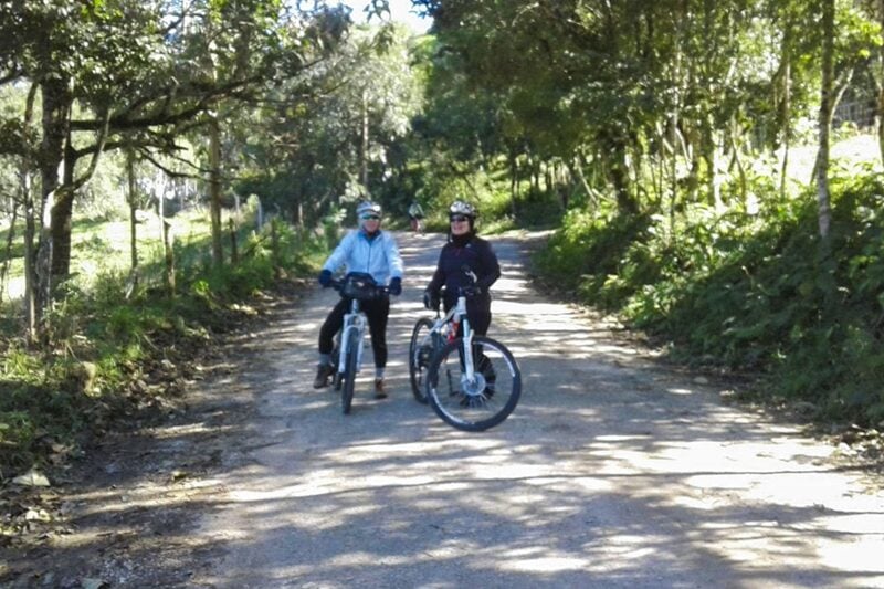 Caminho do Vinho