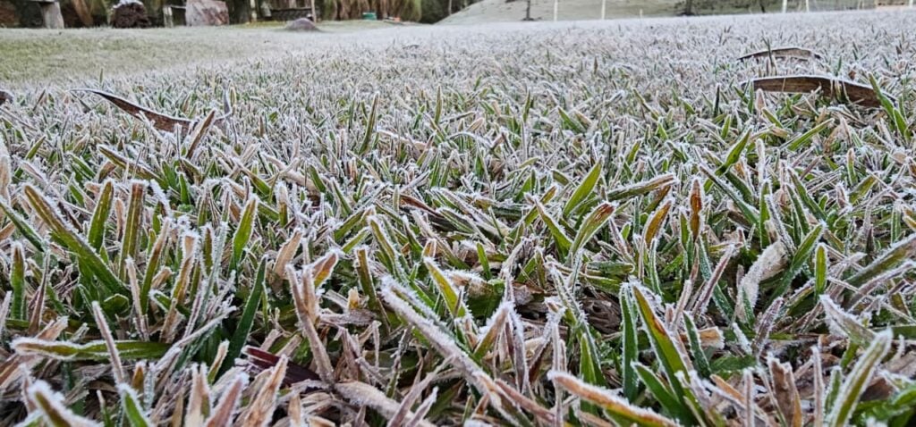 gramadosegelo