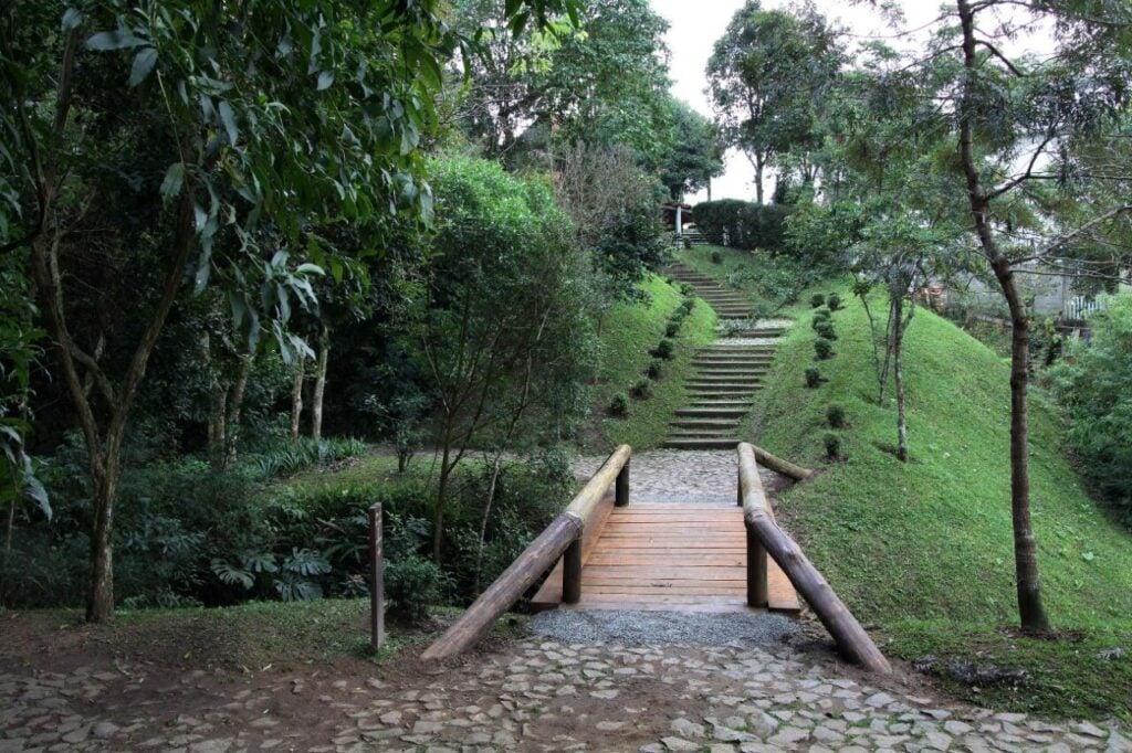GUTIEREZ CAPA