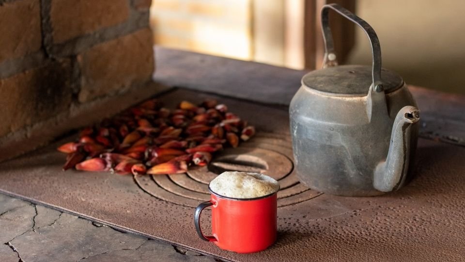 Café campeiro na Serra Catarinense