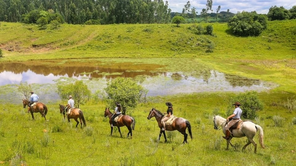 Animais na fazenda na Serra Catarinense