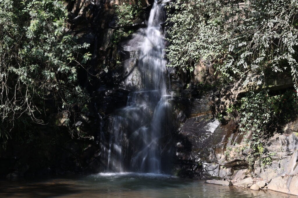 PARQUE VISTA ALEGRE